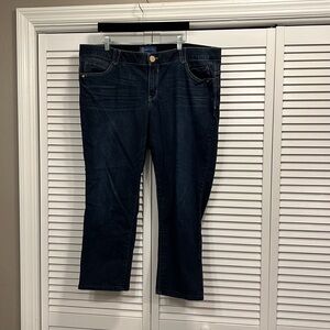 Democracy Size 22W blue jeans "Ab"solution